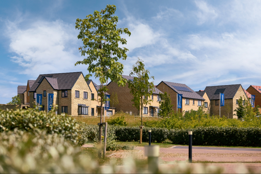 World Environment Day: Building homes to last