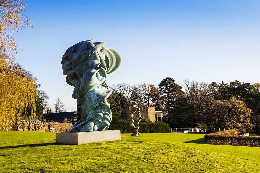 Local area