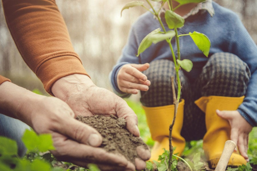 National Gardening Week: Our top tips on sprucing up your garden