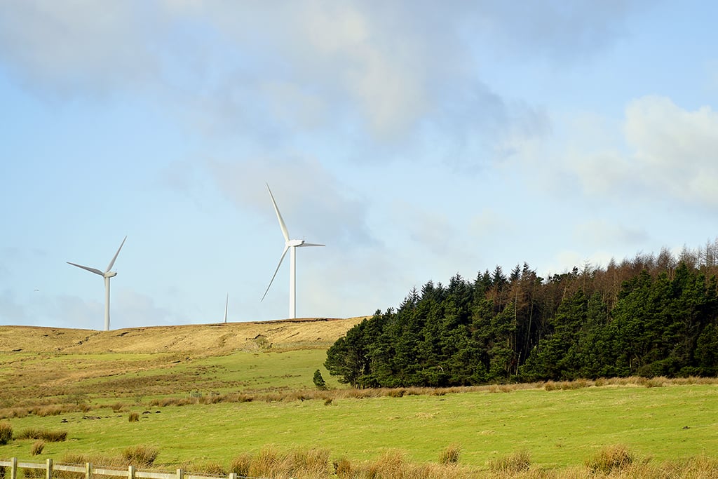 Local area