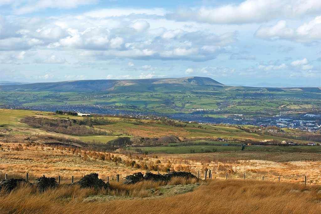 Local area