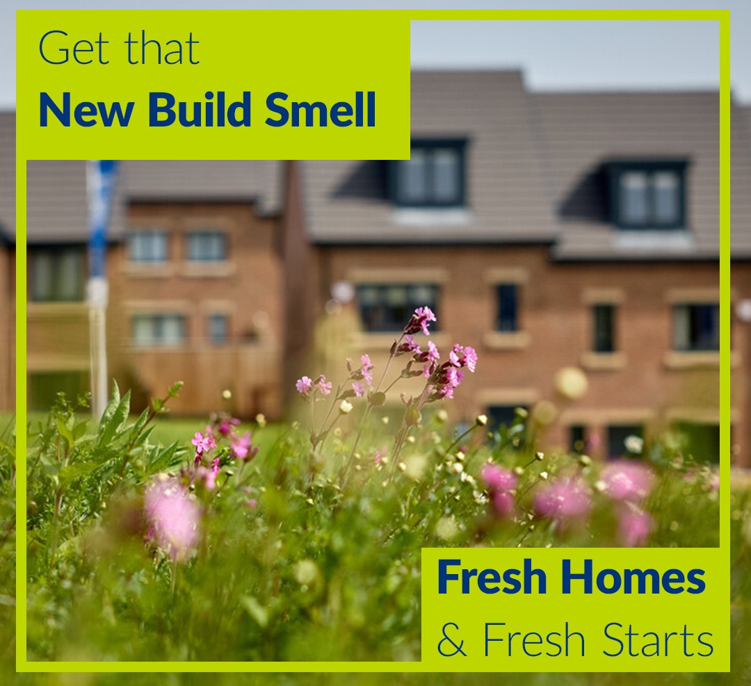 Keepmoat-New-Homes-New-Build-Smell-4.jpg
