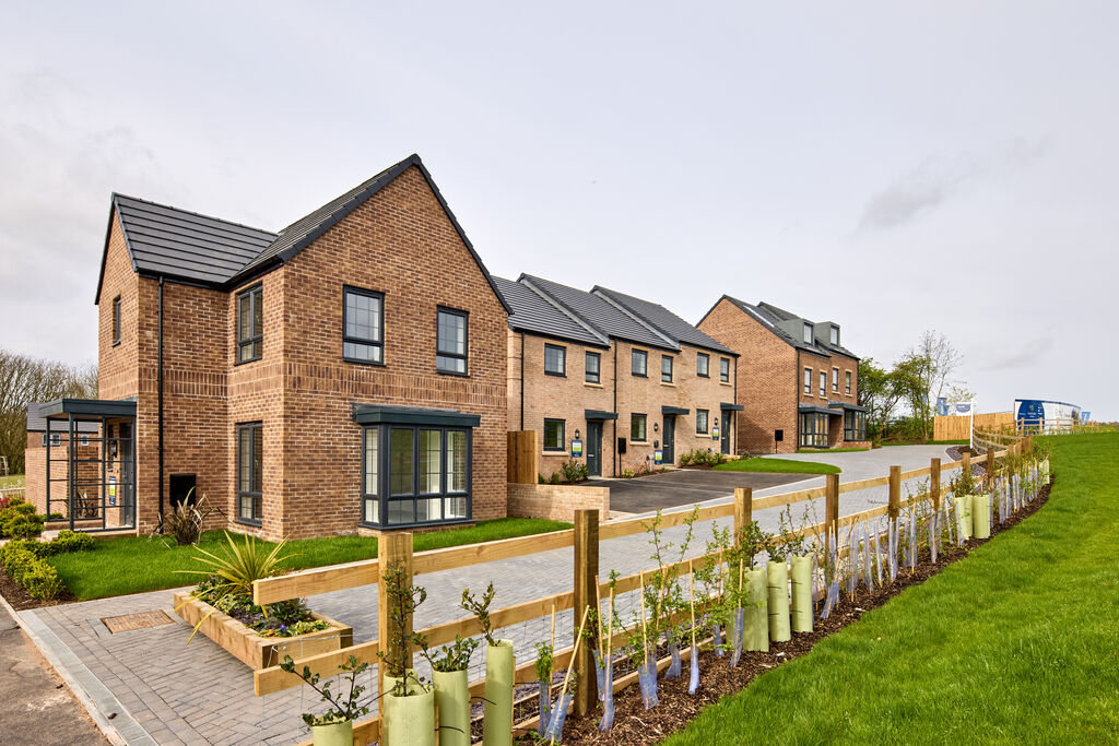 Gedling-Green-Drone-Footage-64958.jpg