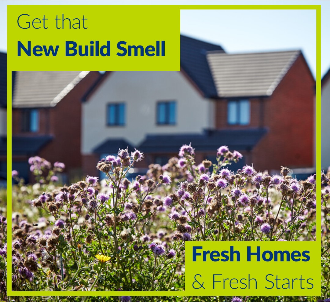 Keepmoat-New-Homes-New-Build-Smell.jpg