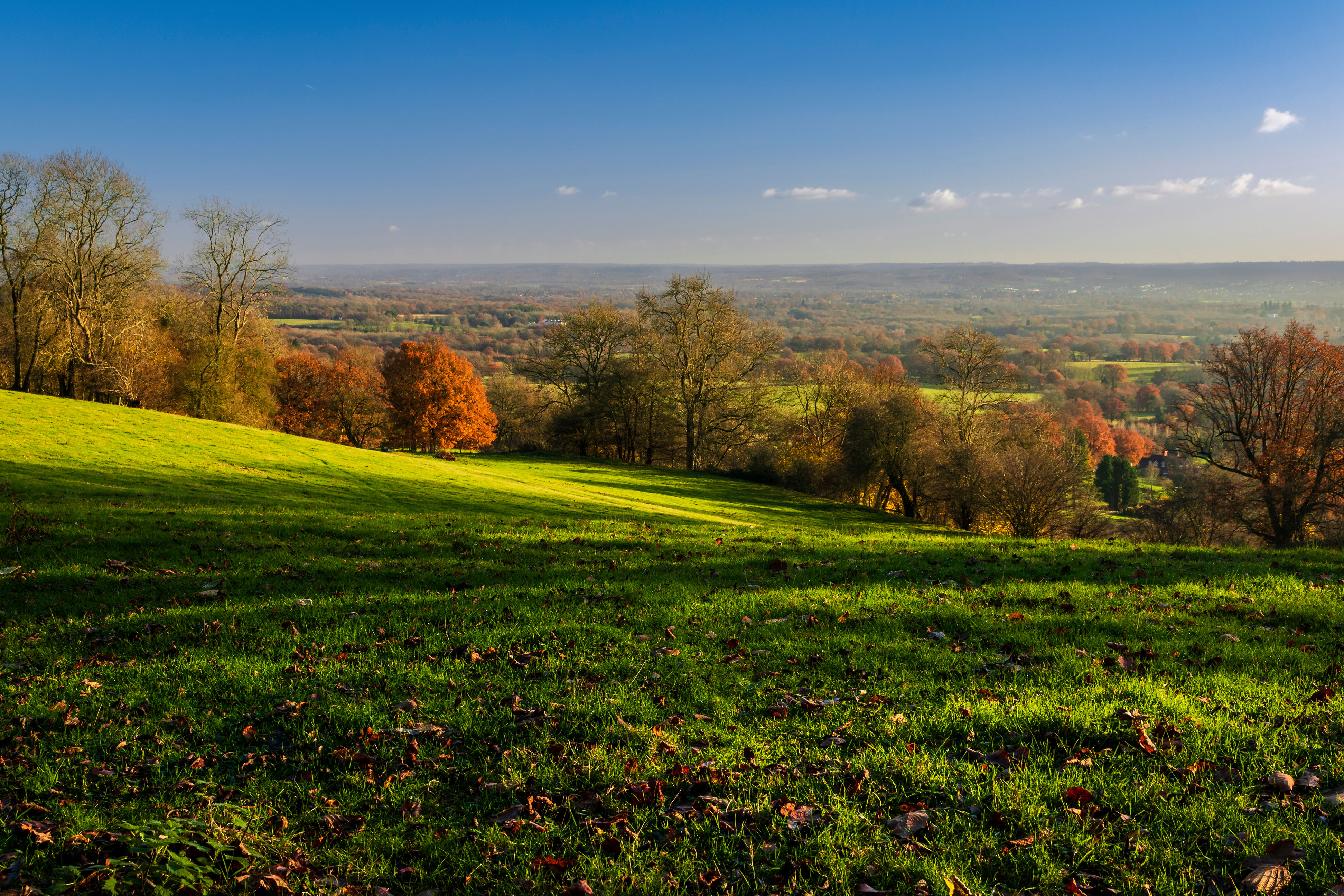 Kent