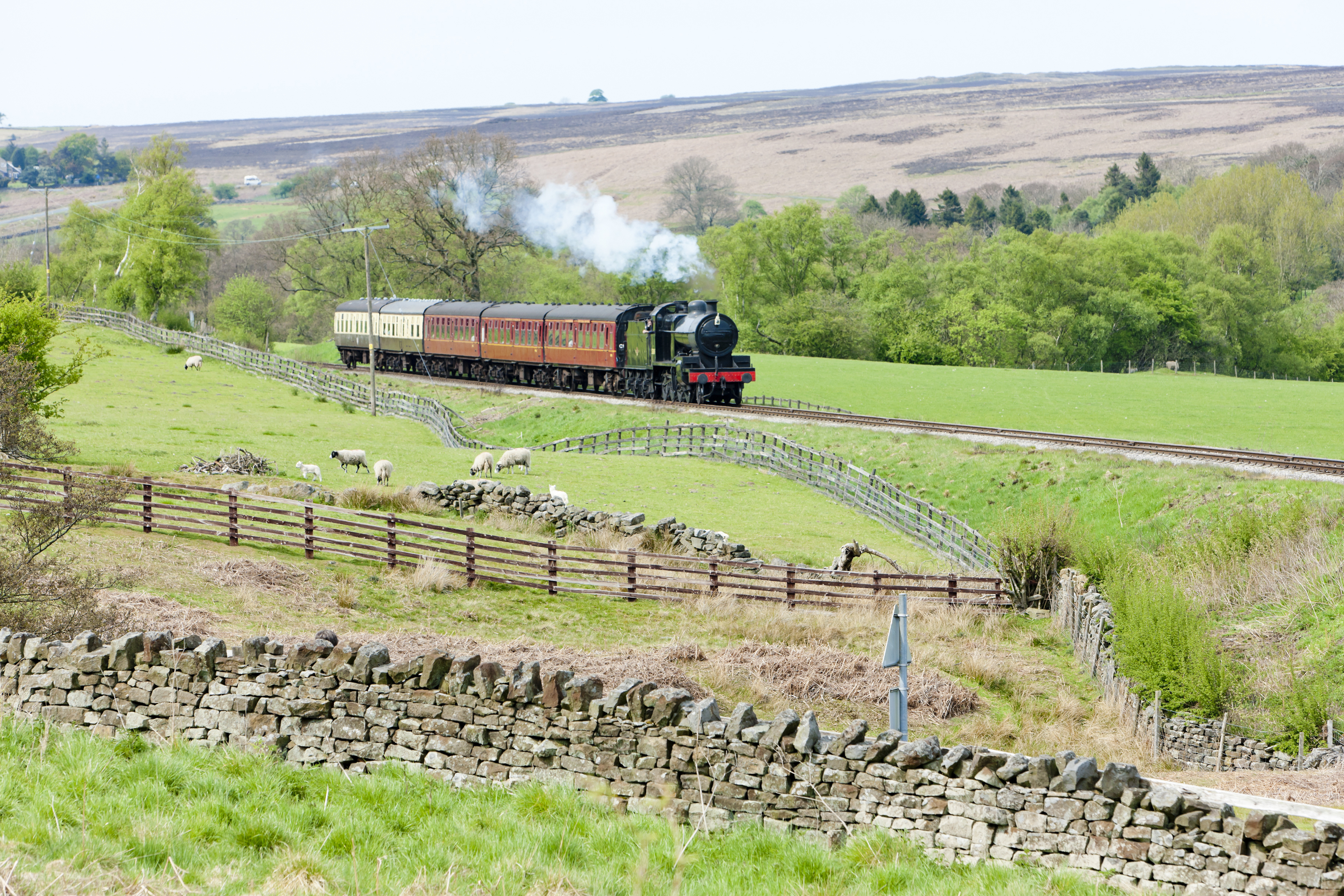North Yorkshire